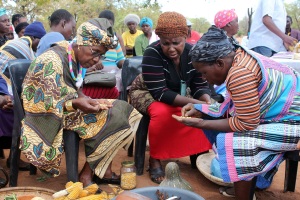 Women of the community seed bank of Gumbu, South Africa. Photo: R.Vernooy